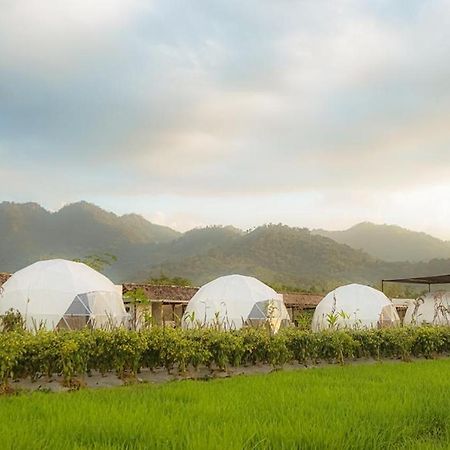 Borobudur Luxury Glamping Magelang Esterno foto