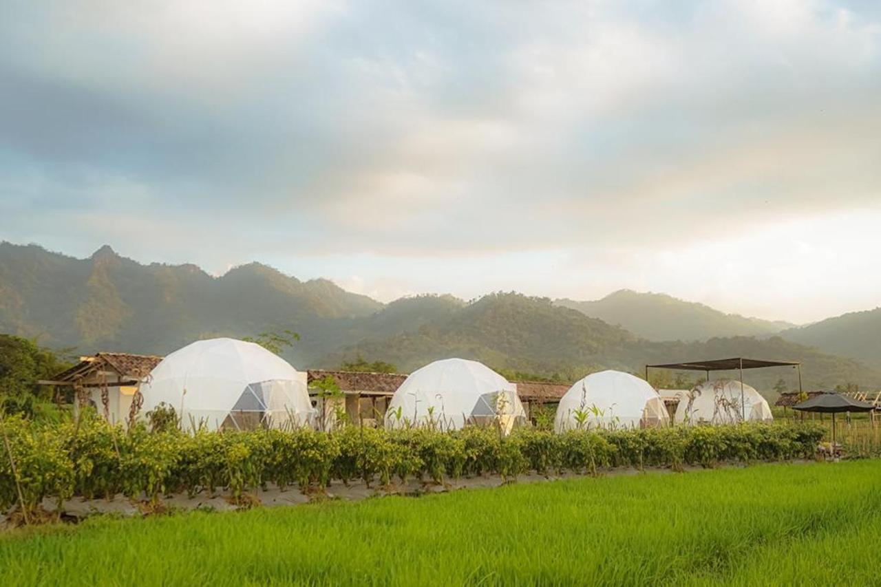 Borobudur Luxury Glamping Magelang Esterno foto