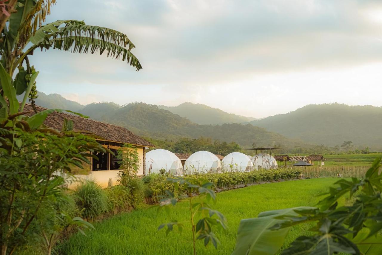 Borobudur Luxury Glamping Magelang Esterno foto