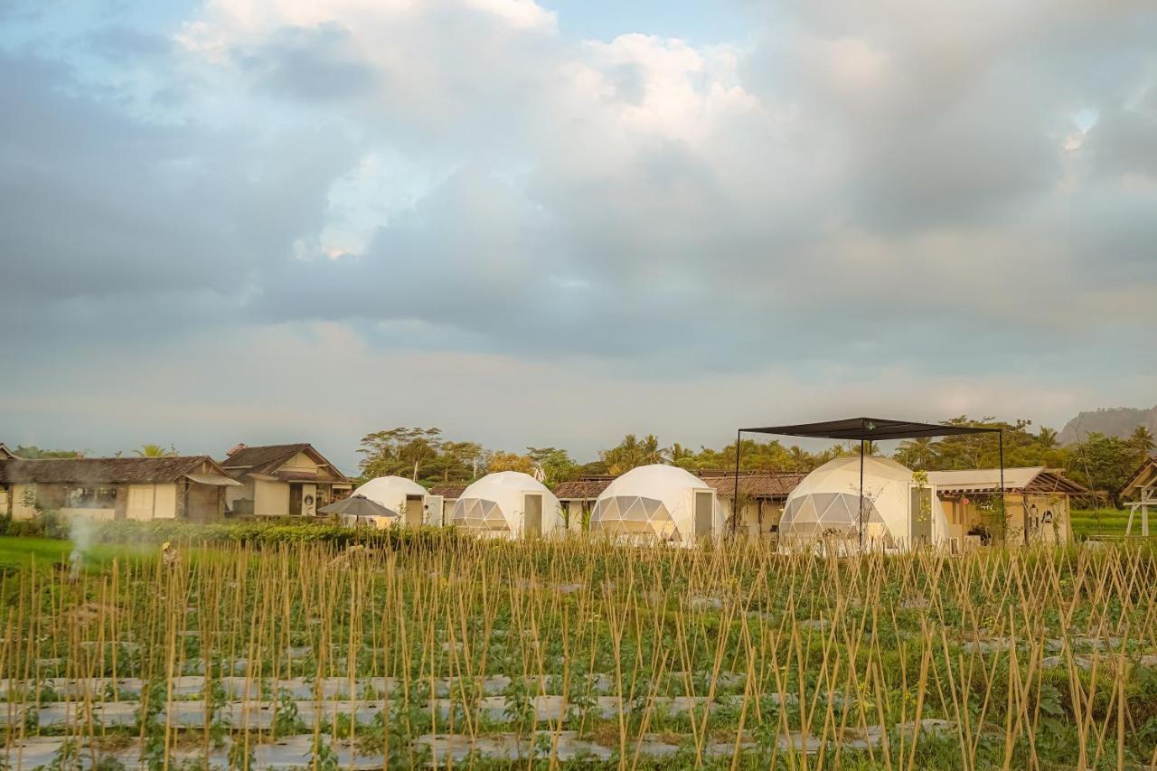Borobudur Luxury Glamping Magelang Esterno foto